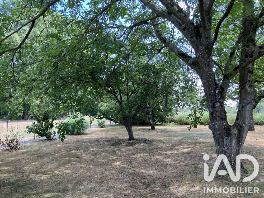 Vente Maison Vente Maison/villa 5 pièces Mulsanne
