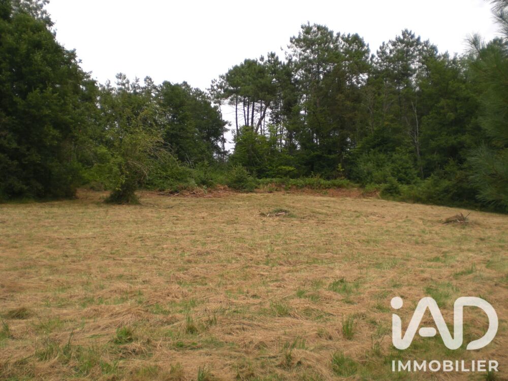 Vente Terrain Vente Terrain à bâtir 5 000 m&sup2; Campsegret