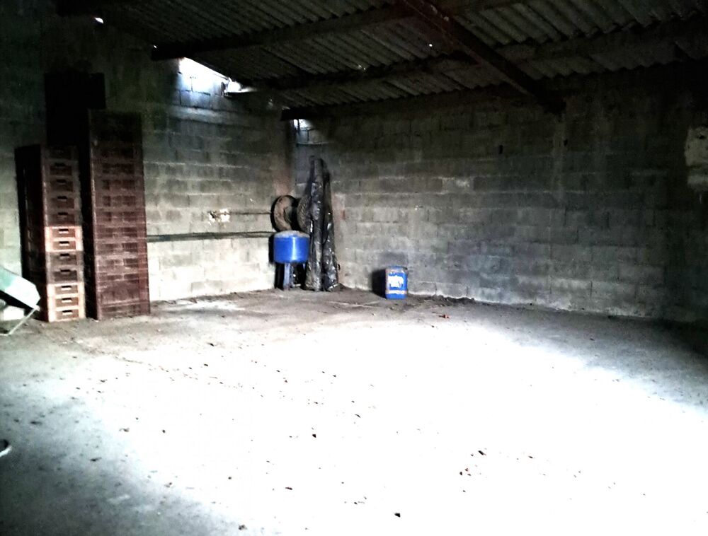 Vente Terrain Vente Terrain 69 131 m&sup2; Elne