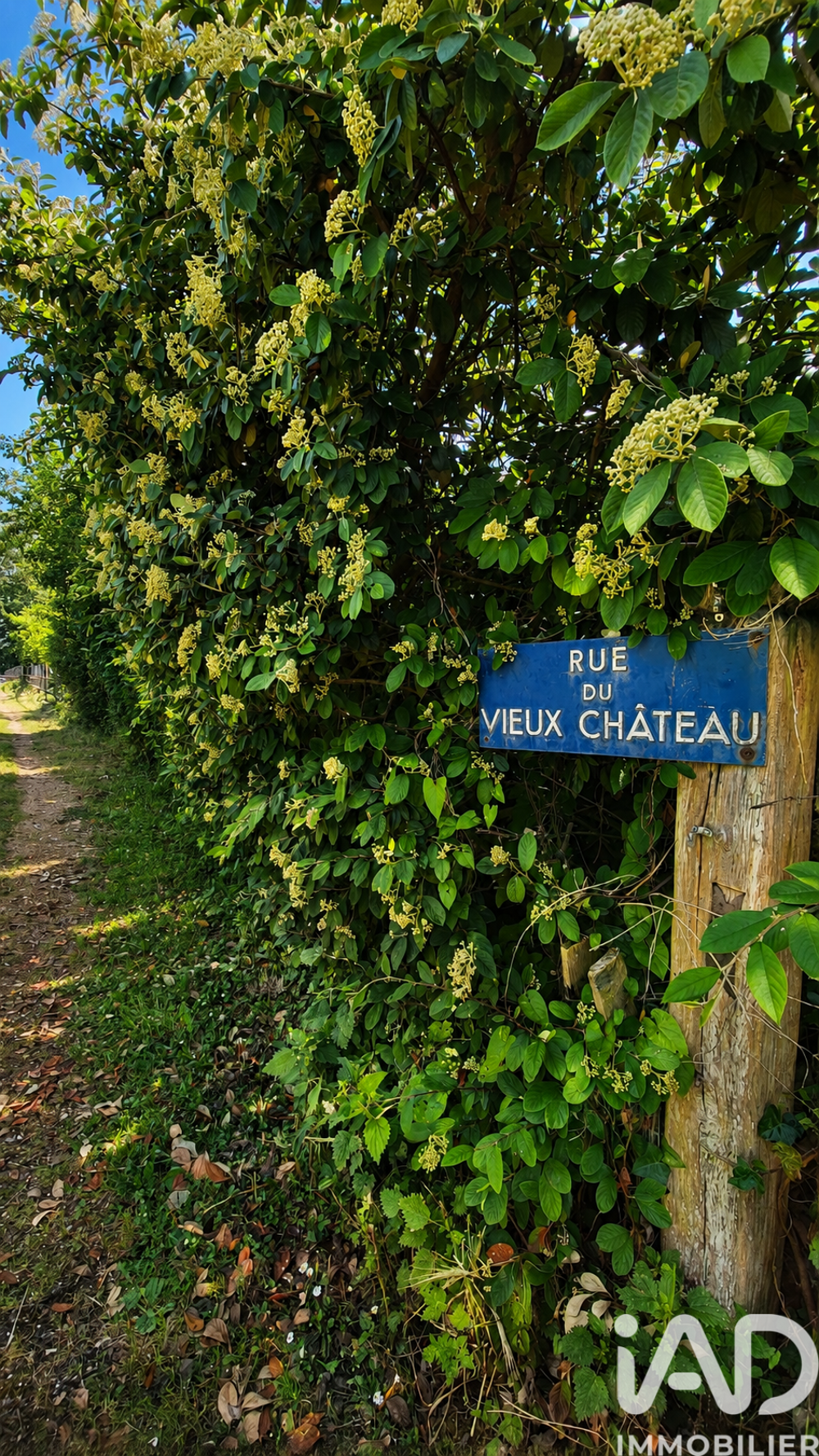 Vente Longère 8 pièces
