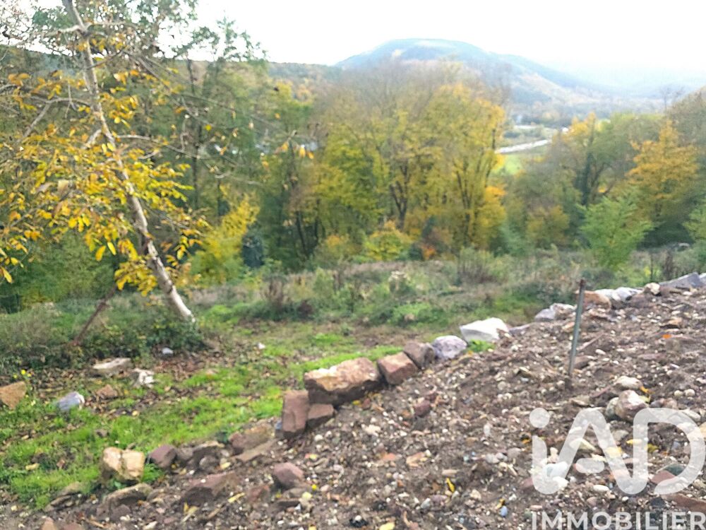 Vente Terrain Vente Terrain à bâtir 4 494 m&sup2; Heiligenberg