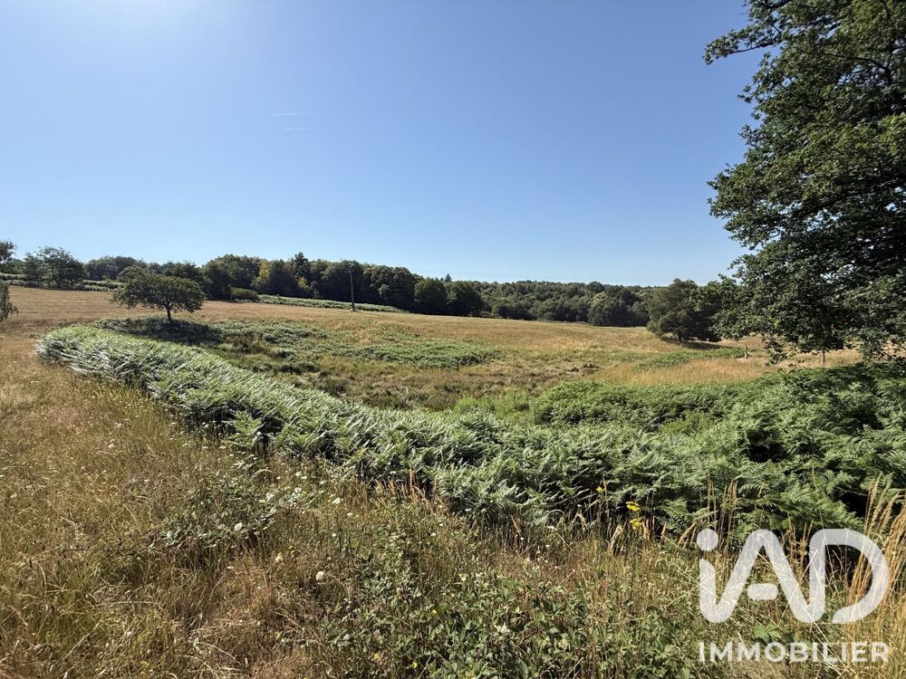 vente Terrain - 43080 m² Bussière-Galant (87230)