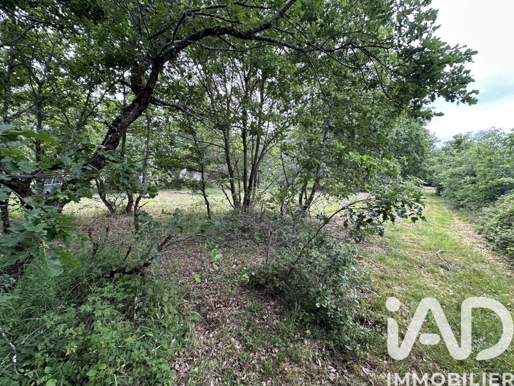 Vente Terrain Vente Terrain 1 000 m&sup2; Castelnau-d'estrétefonds