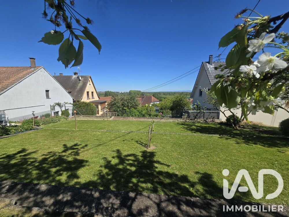 Vente Terrain Vente Terrain 466 m&sup2; Waltenheim-sur-zorn