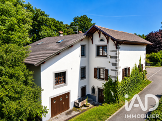 Vente Maison Vente Moulin 9 pièces Valleiry