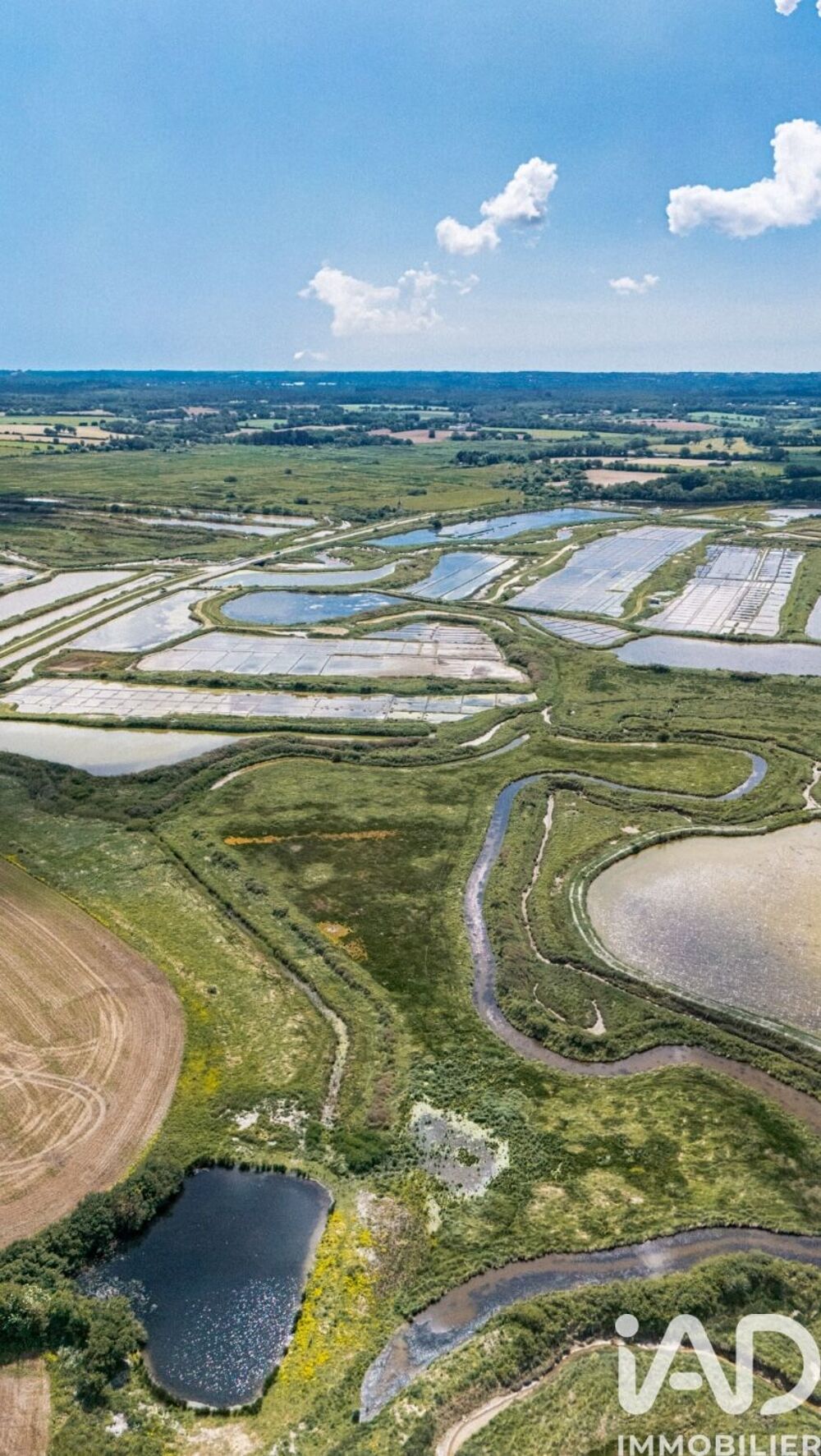 à vendre  Maison Assérac (44410)