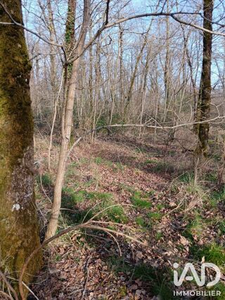  Terrain à vendre 24045 m²
