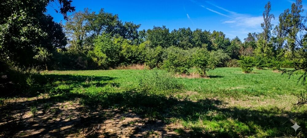 Vente Terrain Terrain de loisir de 3 000 m² au calme Angers
