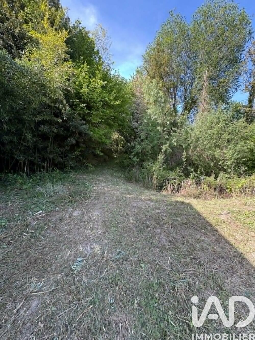 vente Terrain - 3340 m² Gravon (77118)