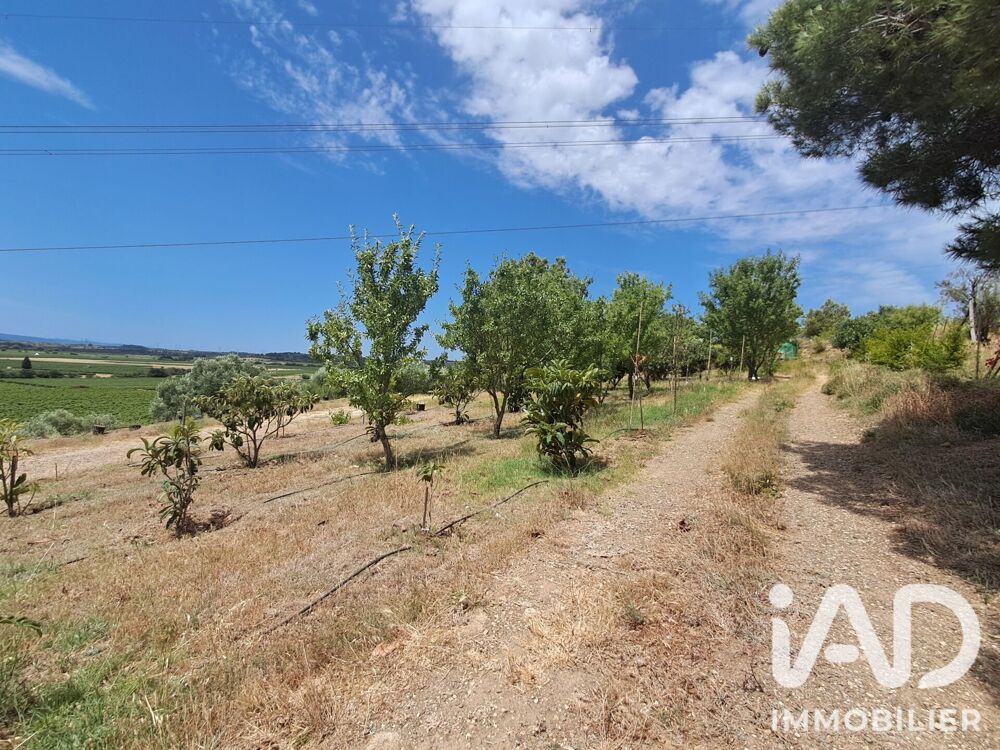 Vente Terrain Vente Terrain agricole 4 865 m&sup2; Azille
