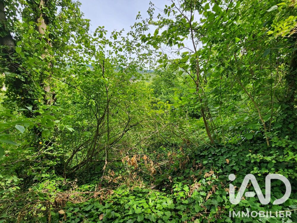 Vente Terrain Vente Terrain 2 550 m&sup2; Maule