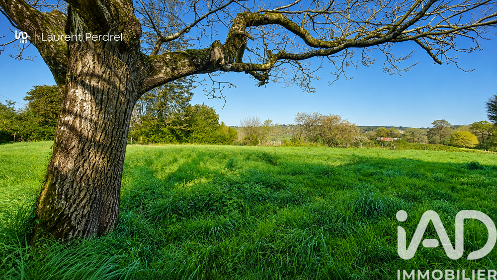 vente Terrain - 1037 m² Allaire (56350)
