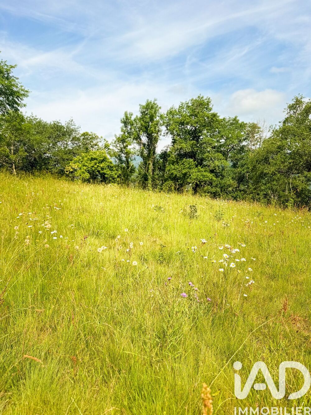 Vente Terrain Vente Terrain 3 770 m&sup2; Conques-en-rouergue