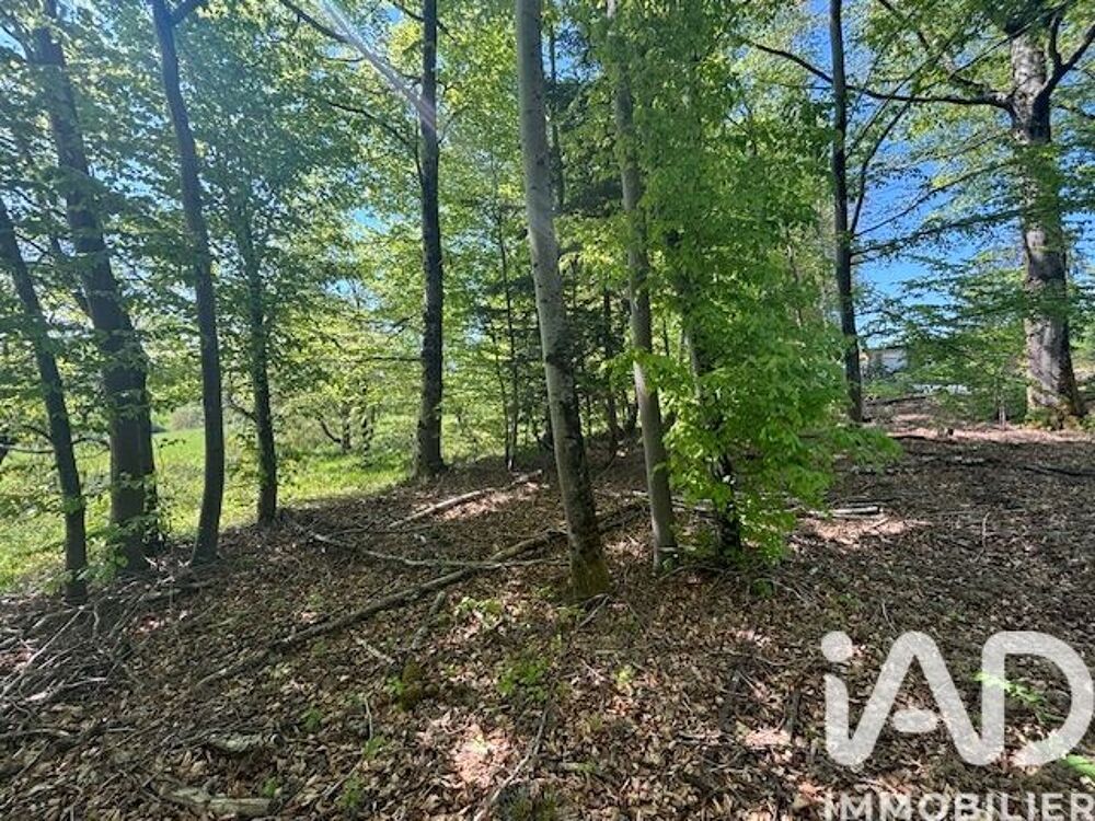 Vente Autre Vente Gîte 3 pièces Renauvoid