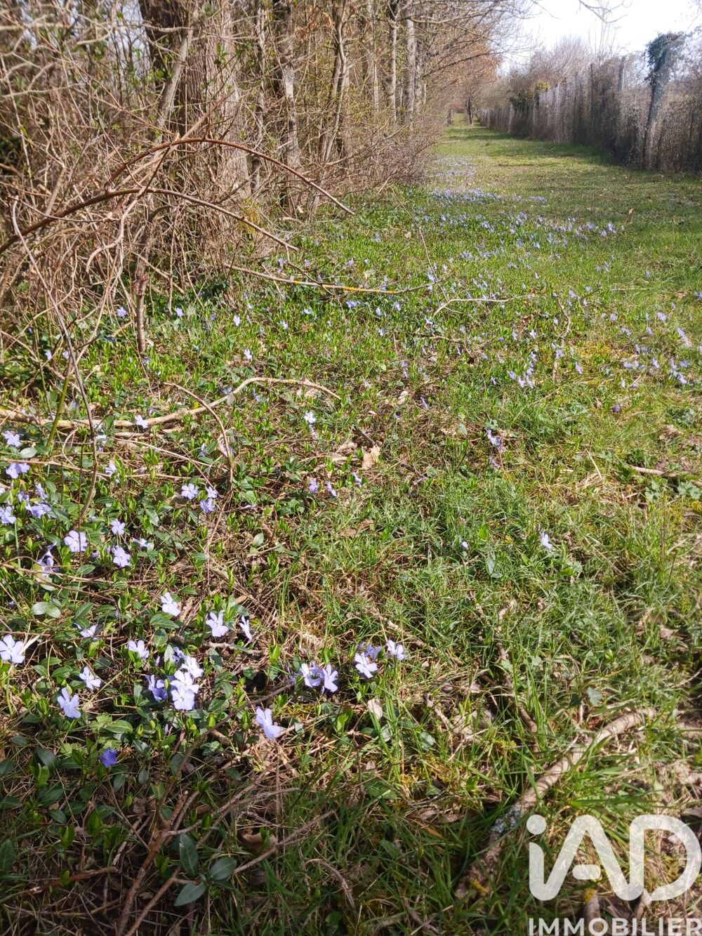 Vente Terrain Vente Terrain 32 204 m&sup2; Usson du poitou