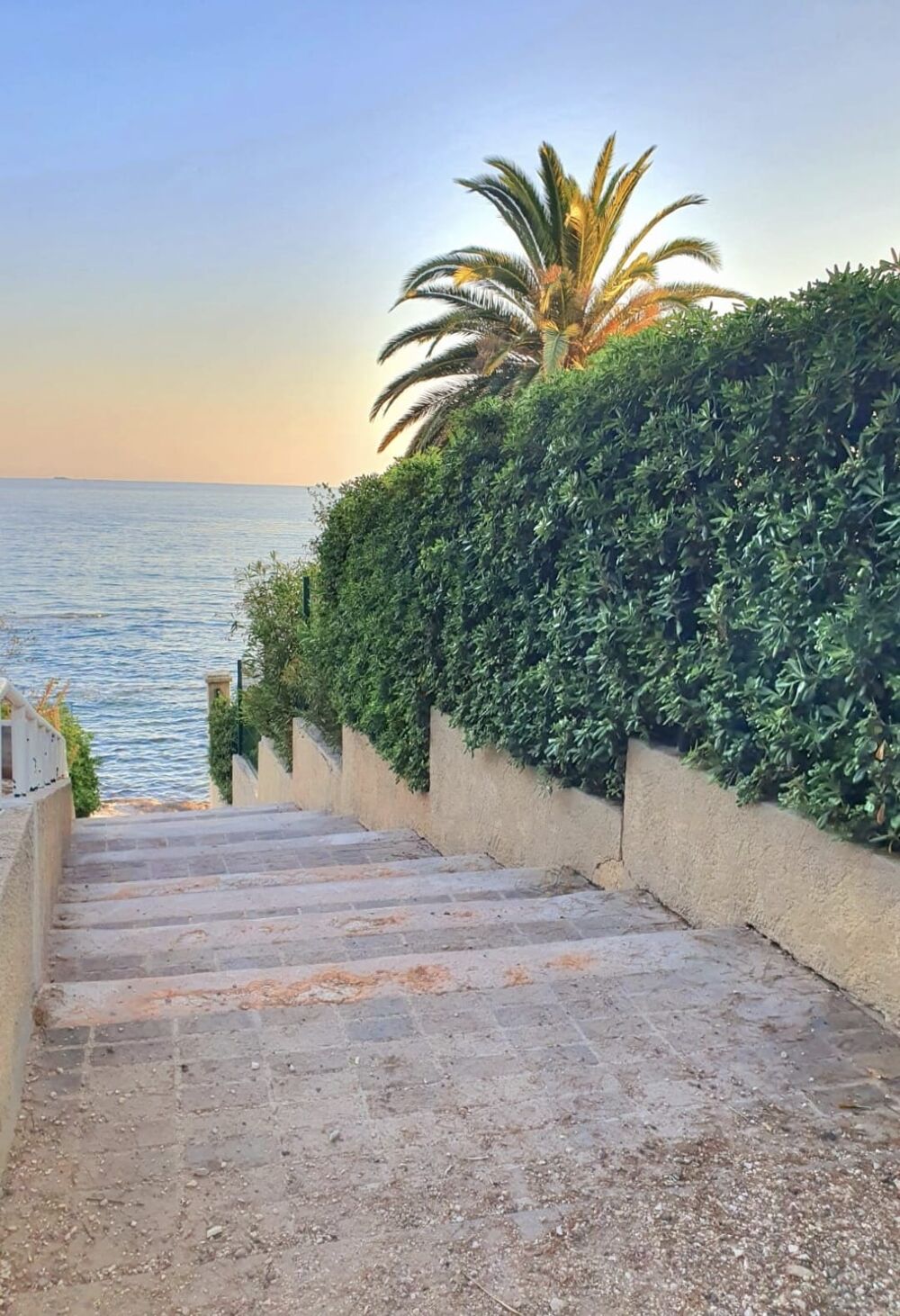 � vendre  Appartement Carqueiranne (83320)