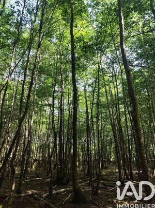  Terrain à vendre 82500 m²