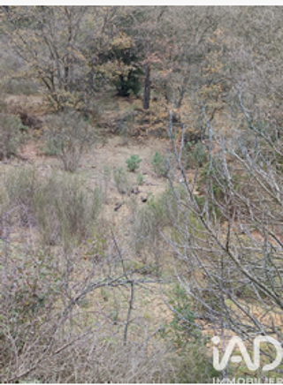  Terrain à vendre 65360 m²