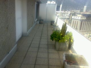  Appartement à louer 2 pièces 49 m²
