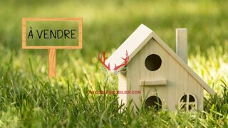  Terrain � vendre 301 m�