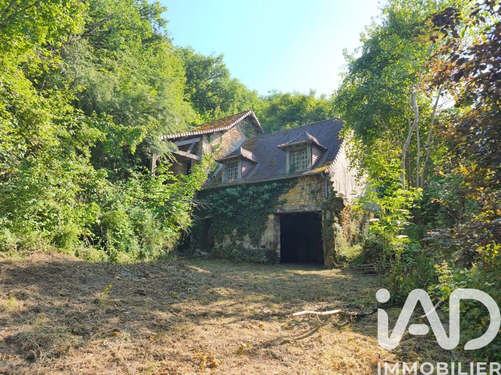 Vente Maison Vente Grange 1 pièce Terrasson-lavilledieu