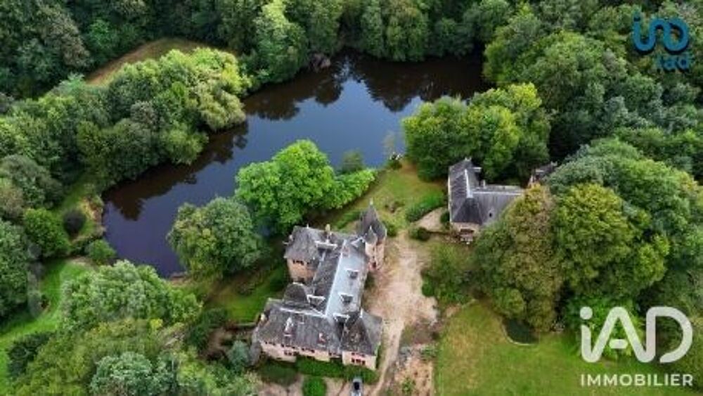 vente Maison - 15 + pièce(s) - 511 m² Lagraulière (19700)