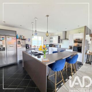  Maison à vendre 12 pièces 310 m²