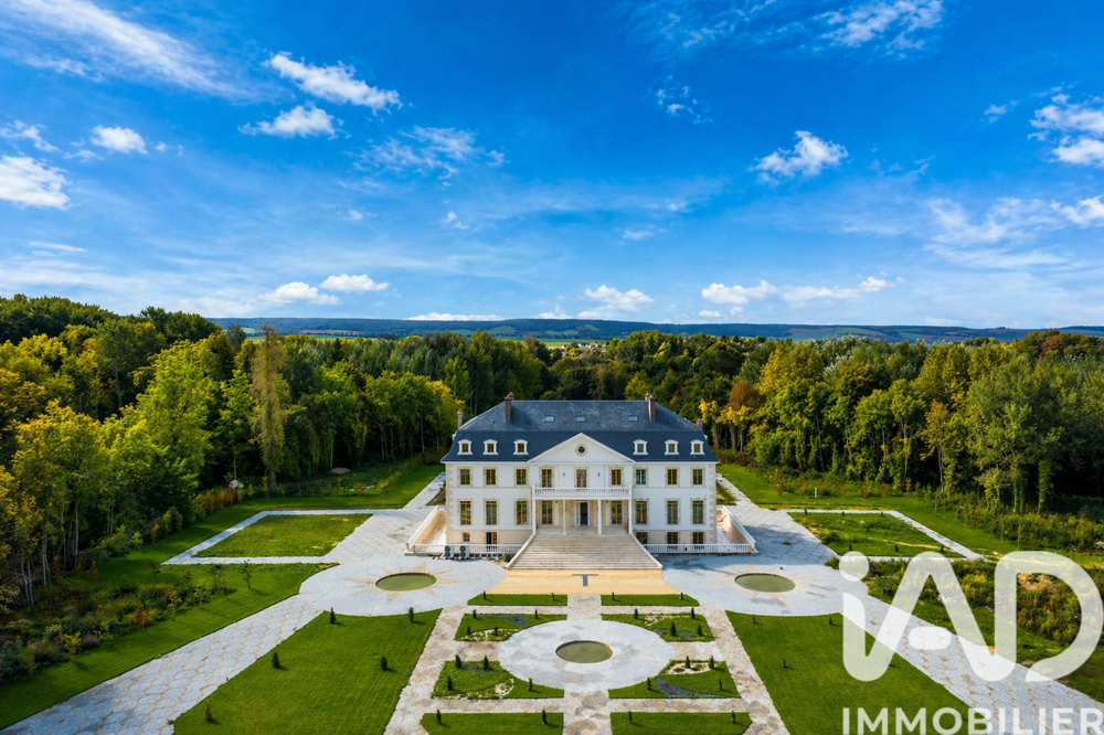 Vente Château 25 pièces