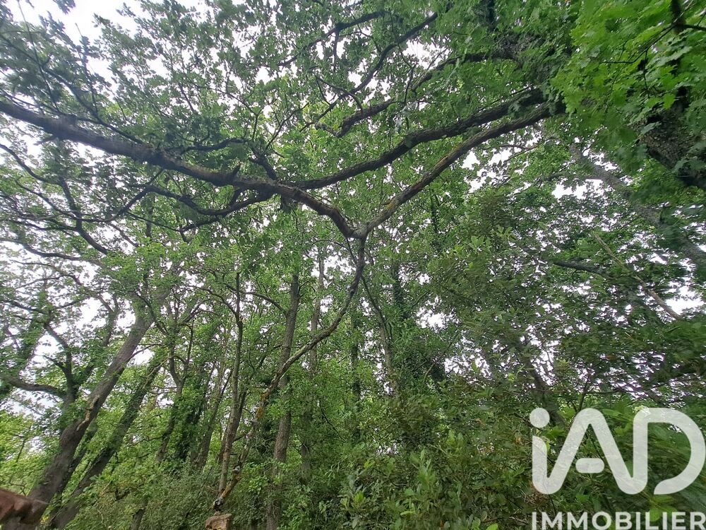 Vente Terrain Vente Terrain agricole 9 595 m&sup2; Antugnac
