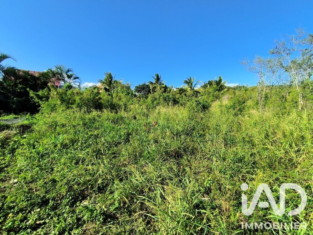 vente Terrain - 400 m² Saint-Louis (97421)