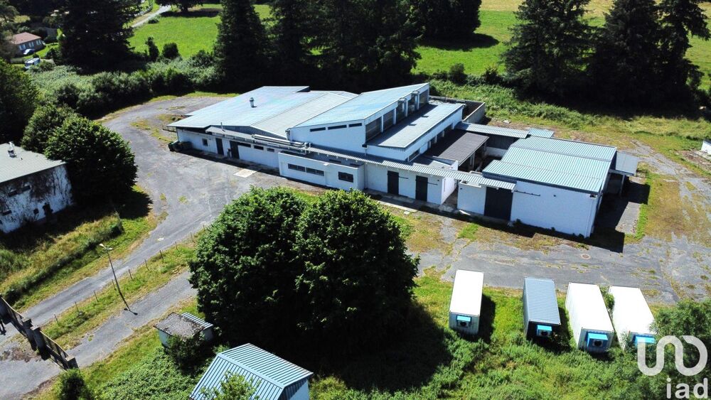   Vente Local d'activités 350 m&sup2; 