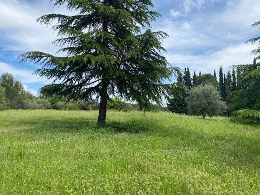 Vente Maison LORGUES - Bastide provençale de 1789 Lorgues