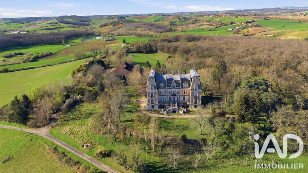 Vente Château 40 pièces