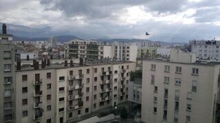  Appartement à louer 1 pièce 24 m²