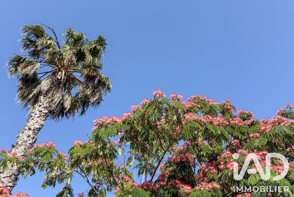 à vendre  Maison Toulon (83000)