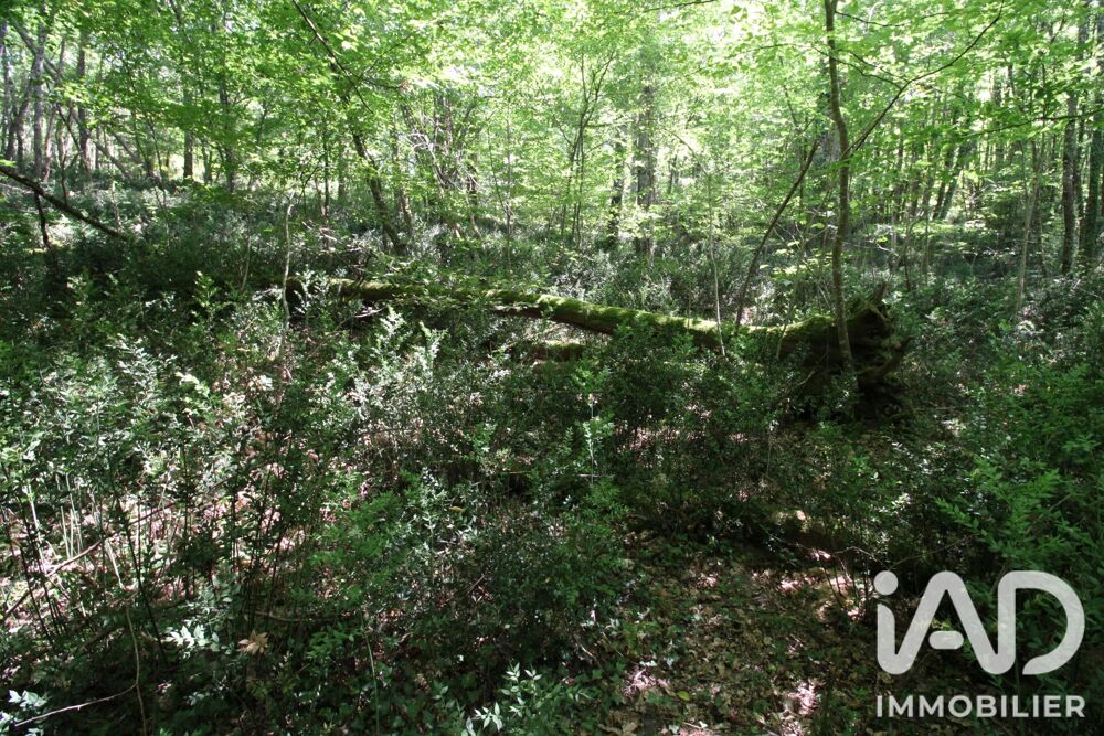 Vente Terrain Vente Terrain 14 982 m&sup2; Montdurausse