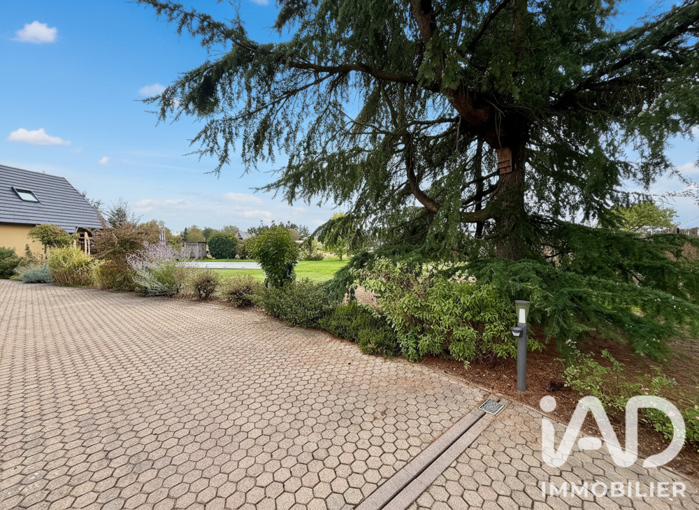 à vendre  Maison Sélestat (67600)