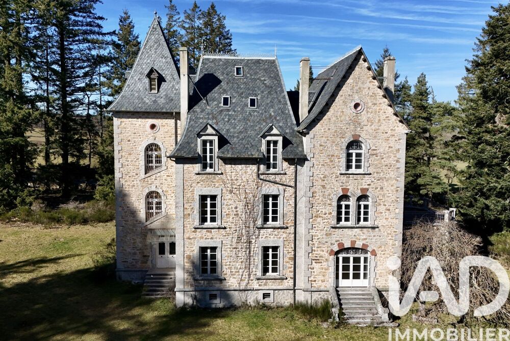 Vente Château 21 pièces