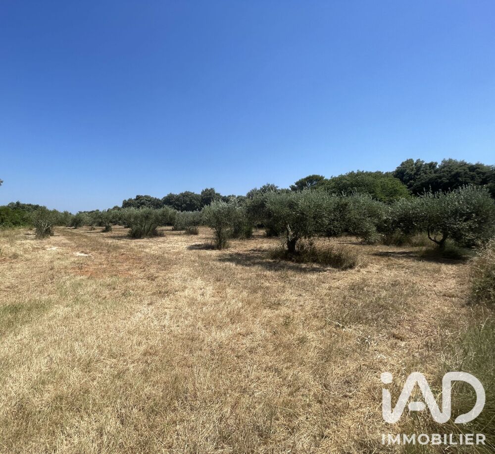 Vente Terrain Vente Terrain à bâtir 1 764 m&sup2; Saint-siffret