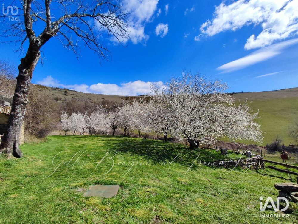 à vendre  Maison Florac (48400)