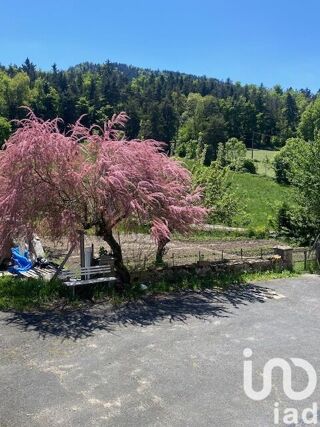 Maison � vendre 15 + pi�ces 245 m�