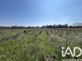 Vente Terrain Vente Terrain agricole 8 225 m&sup2; Codolet