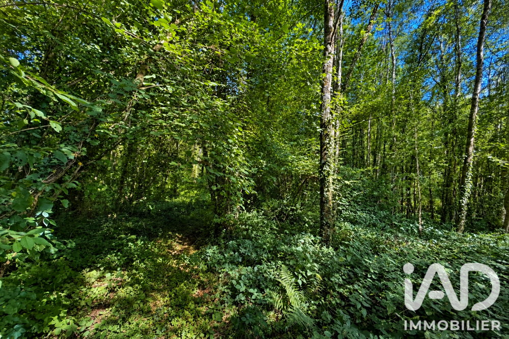 Vente Terrain Vente Terrain 29 190 m&sup2; Sévérac