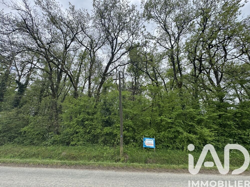Vente Terrain Vente Terrain 3 362 m&sup2; Saint-martin-la-pallu
