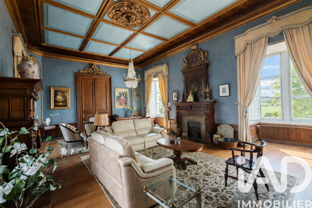 Vente Château 18 pièces