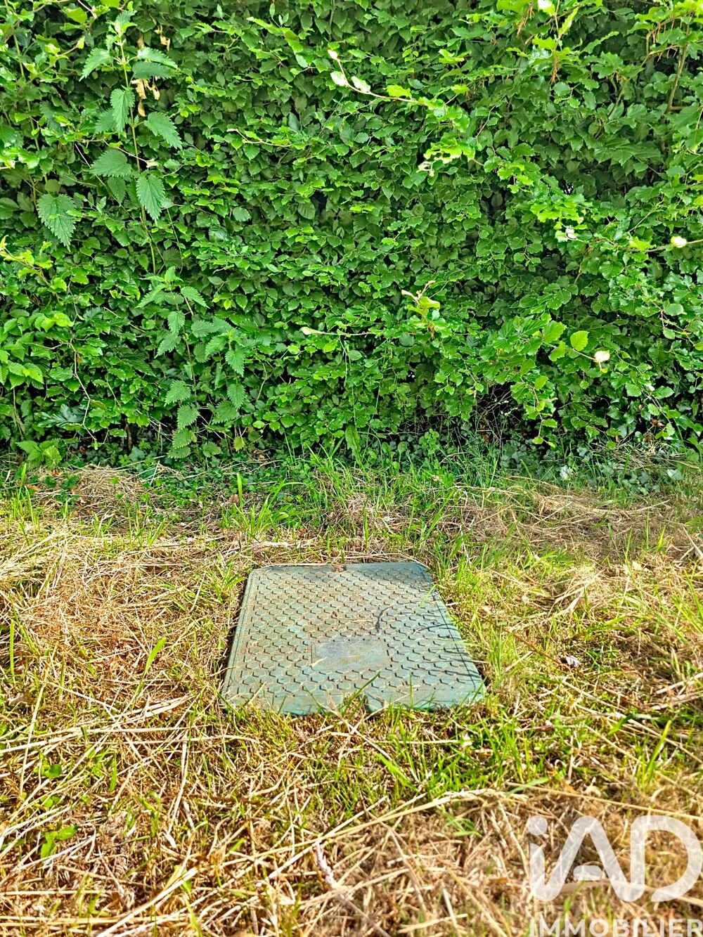 vente Terrain - 1005 m² Bosc-Bordel (76750)