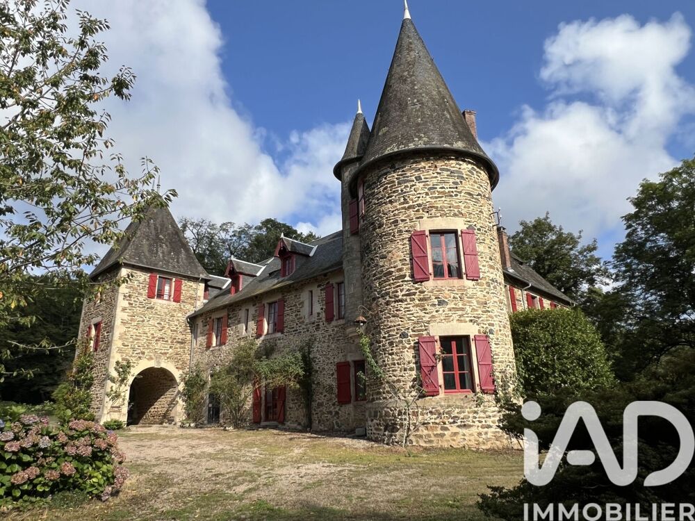 vente Maison - 15 + pièce(s) - 511 m² Lagraulière (19700)