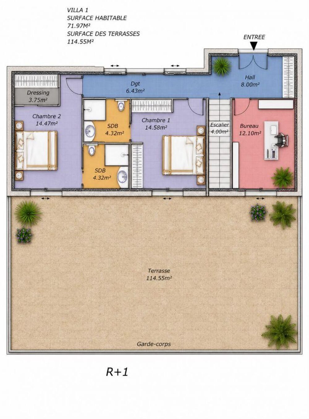à vendre  Maison Sisco (20233)