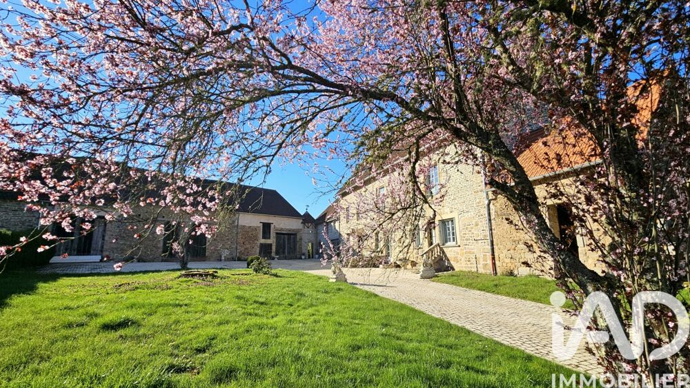 Vente Maison Vente Château 21 pièces Viévy