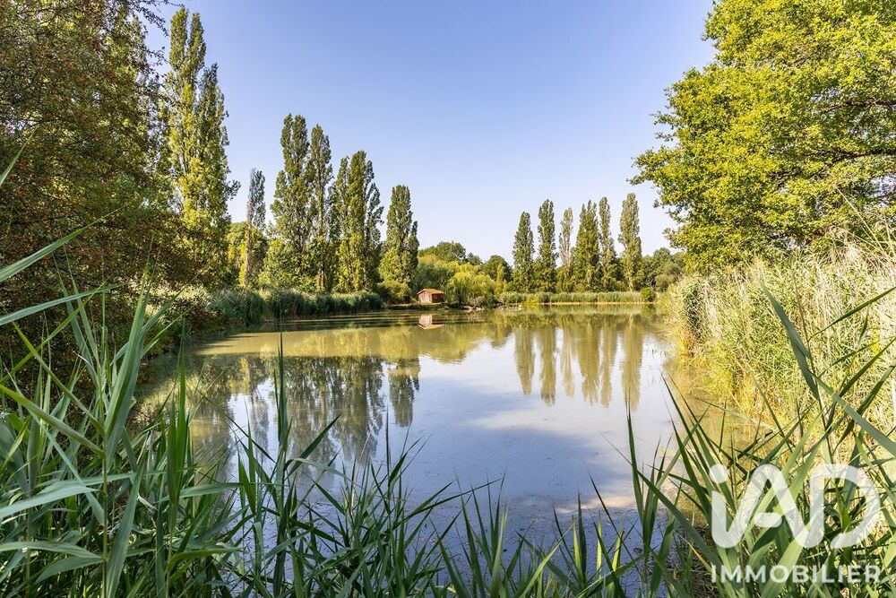 à vendre  Maison La Ferté-Saint-Cyr (41220)